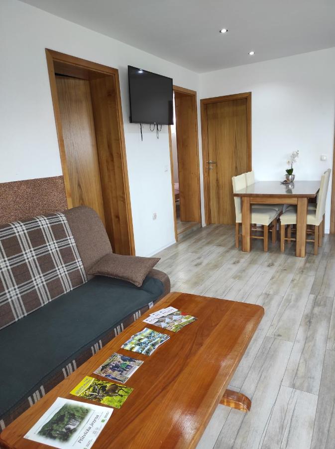 רקוביצה Apartman Jakov מראה חיצוני תמונה